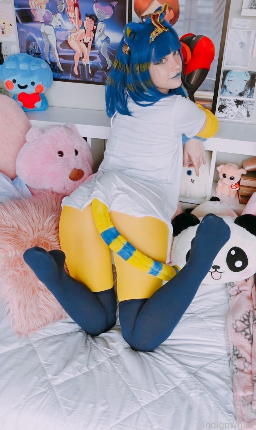 Indigo White - Ankha