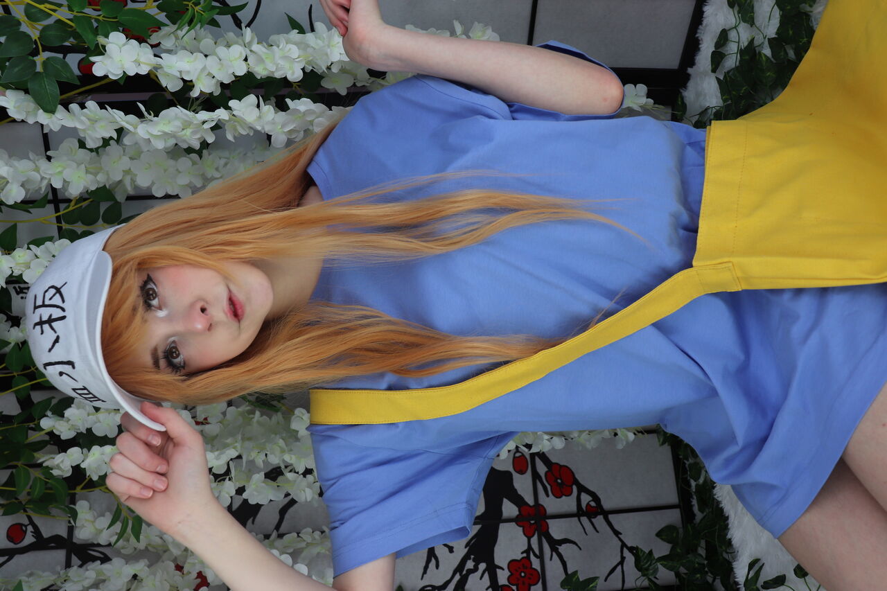 Melondoki - Platelet