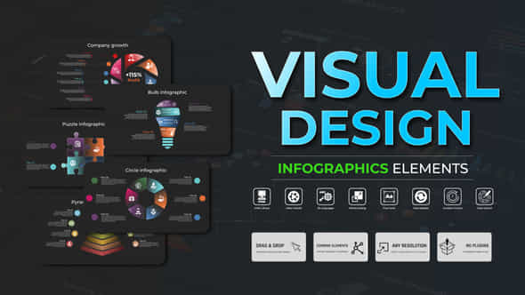 Infographic Visual Design - VideoHive 51311108