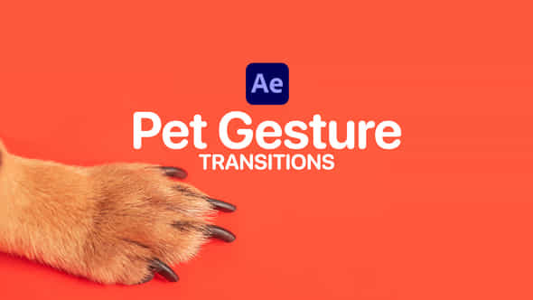 Pet Gesture Transitions - VideoHive 47367361