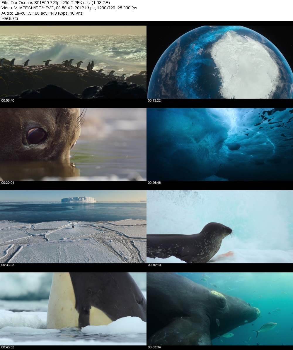 Our Oceans S01E05 720p x265-TiPEX