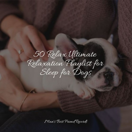 Sleeping Music For Dogs - 50 Relax Ultimate Relaxation Playlist for Sleep for Dogs - 2022