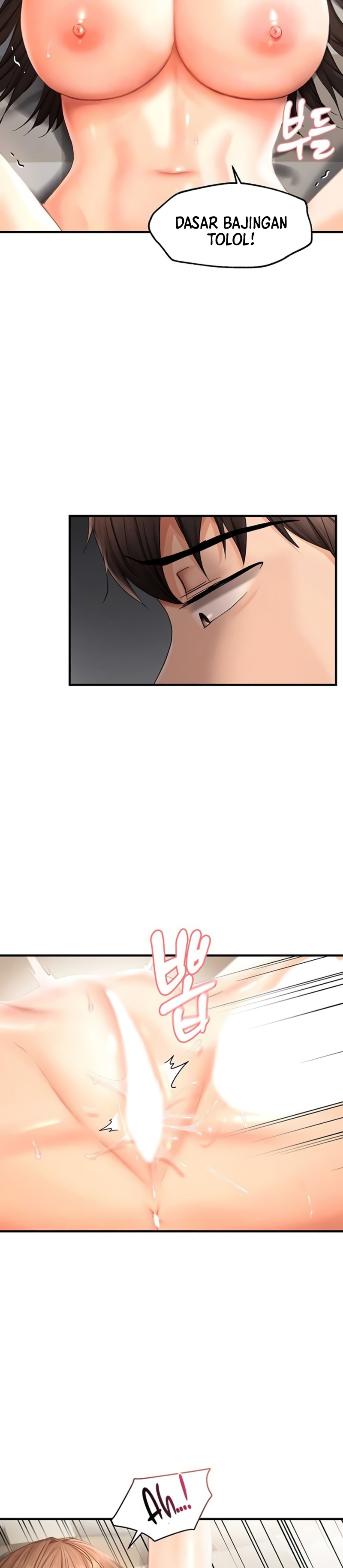image host