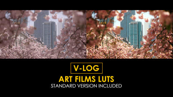 Vlog Art Film And Standard Luts - VideoHive 51434140