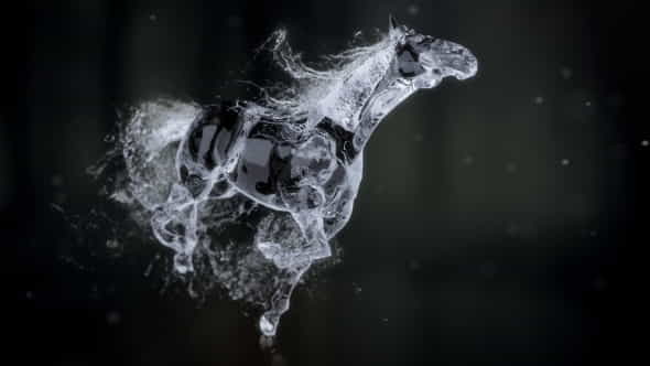 Splashing Horse Logo Reveal - VideoHive 20457656