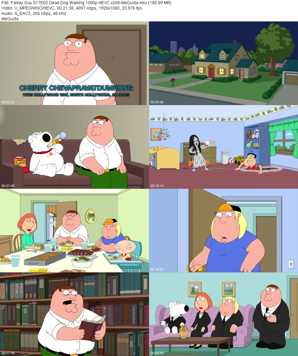 Family Guy S17E02 Dead Dog Walking 1080p HEVC x265-MeGusta