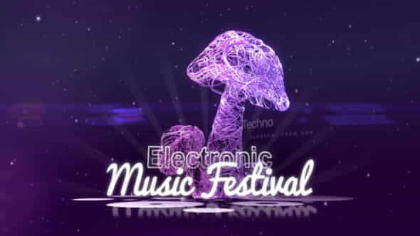 Electronic Music Festival - VideoHive 19486026