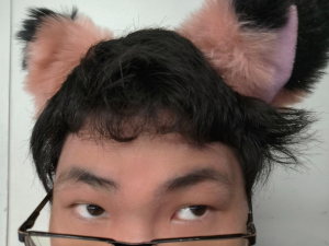 A photo of the upper half of Leslie’s face.  They are wearing glasses
and pink, fluffy foxears