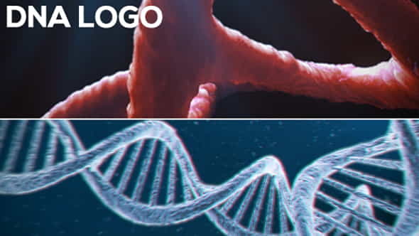 DNA Logo (2-pack) - VideoHive 13297571
