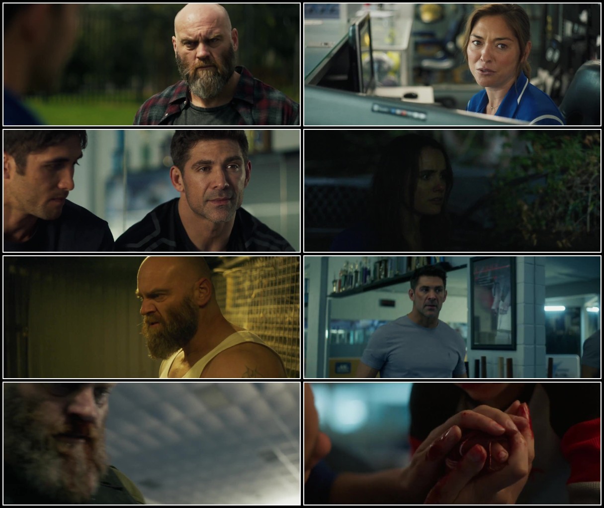 Life After Fighting (2024) 1080p HD WEBRip 1 70GiB AAC x264-PortalGoods QsOQo5o8_o