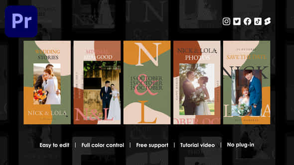 Wedding Instagram Reels - VideoHive 48542700