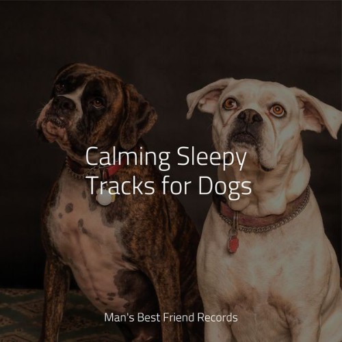 Relaxing Music for Dogs - Calming Sleepy Tracks for Dogs - 2022