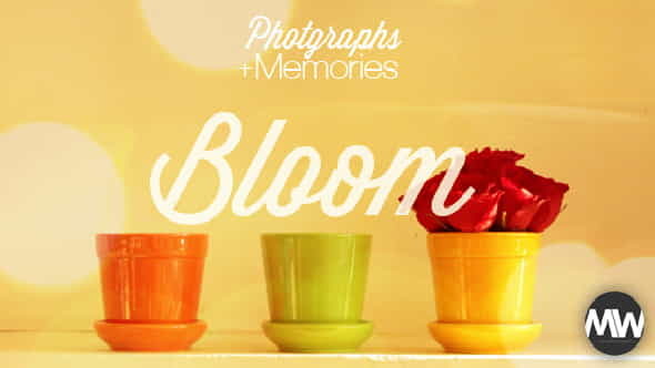 Photographs and Memories Bloom - VideoHive 4974510