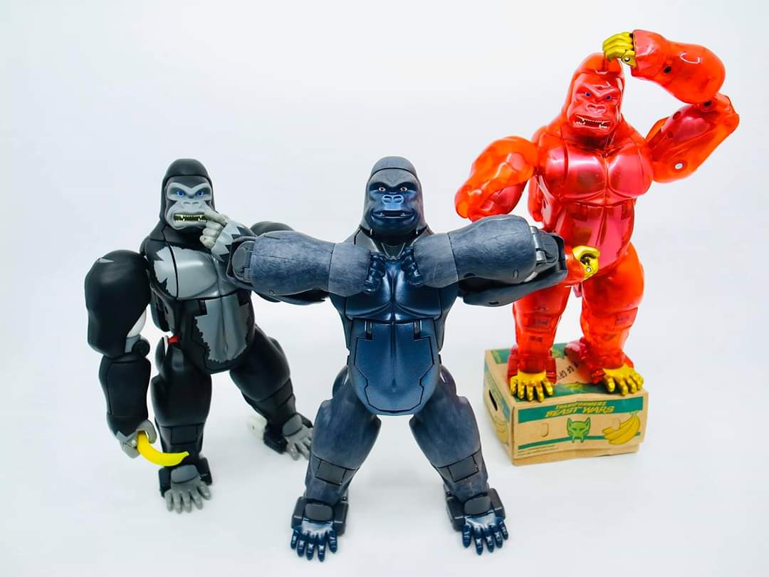 [Masterpiece] MP-32, MP-38 Optimus Primal et MP-38+ Burning Convoy (Beast Wars) - Page 5 TuQuEjuS_o