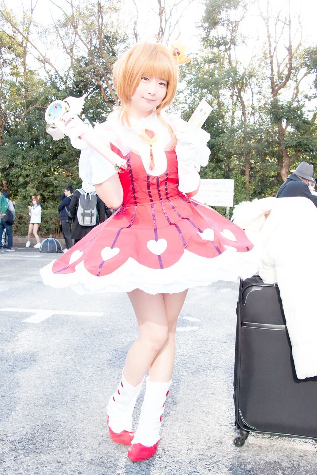 Himari - Sakura