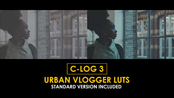 Clog3 Urban Vlogger And Standard Luts - VideoHive 51223002