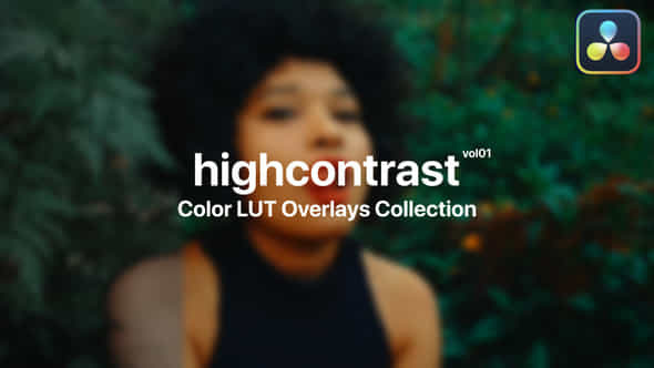 High Contrast Color - VideoHive 47799497