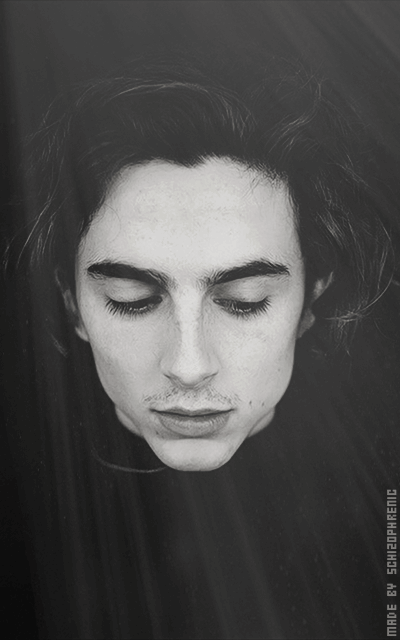 Timothée Chalamet 36080Kzu_o