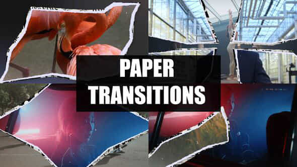 Paper Transitions - VideoHive 53818029