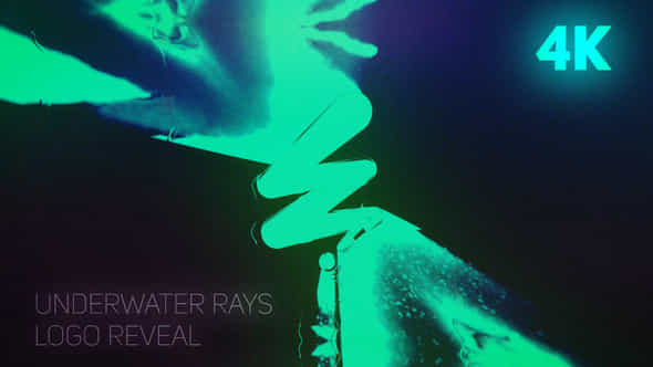 Rays Logo Reveal - VideoHive 55467287