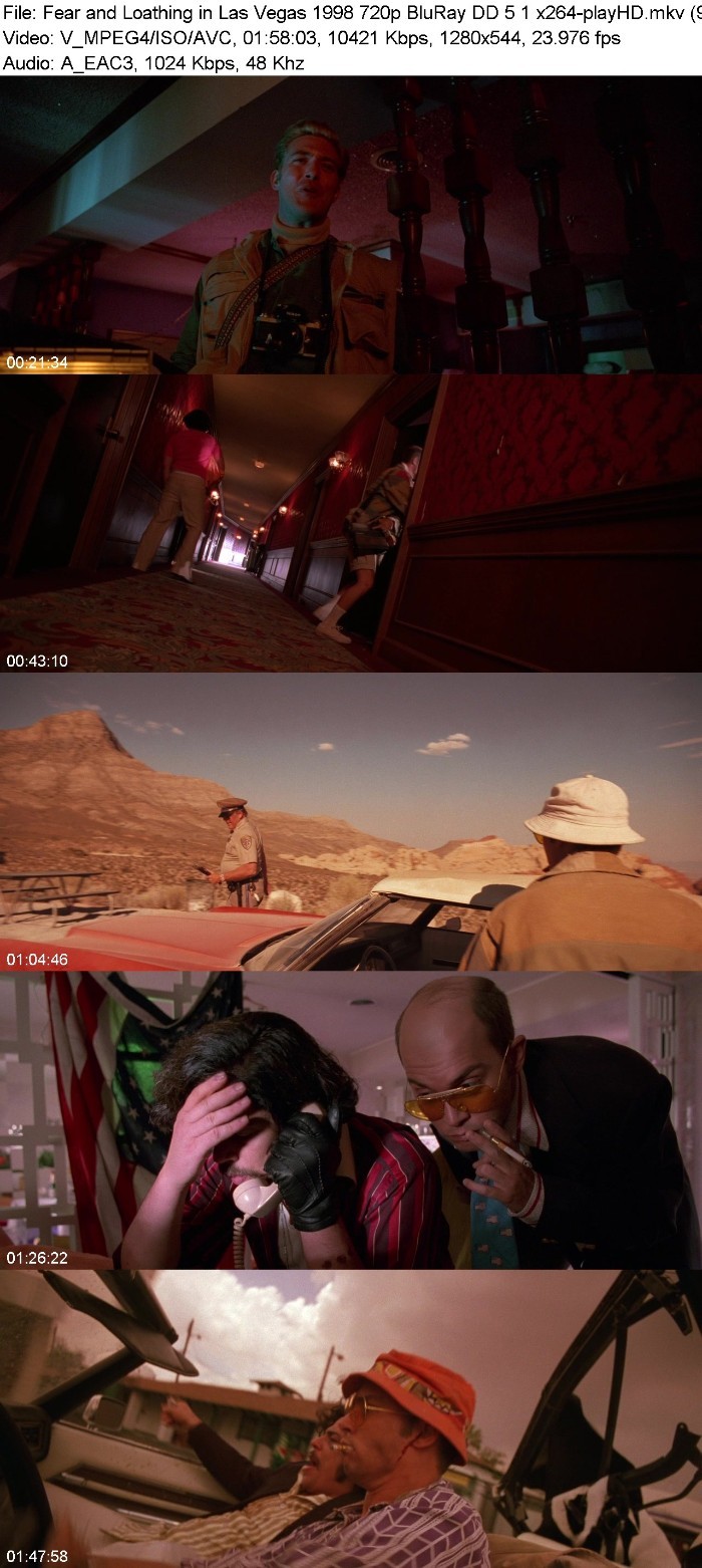 Fear and Loathing in Las Vegas (1998) 720p BluRay DD 5 1 x264-playHD MlMLeRbG_o