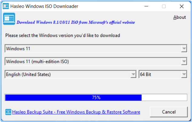 Hasleo Windows ISO Downloader 2.2 UO7gu4iq_o