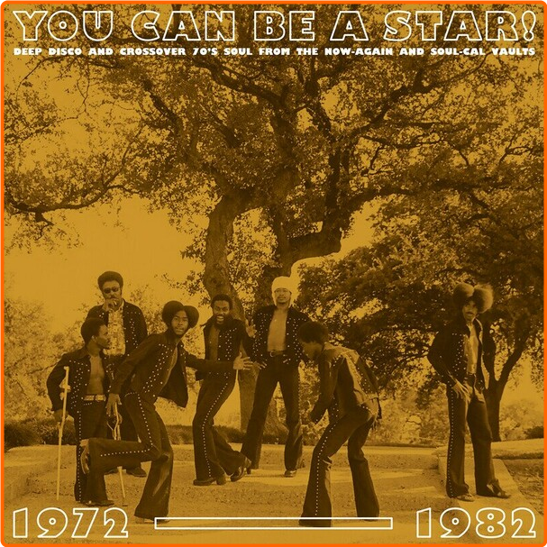 VA You Can Be A Star! Deep Disco And Crossover 70's Soul From The Now Again And Soul Cal Vaults (1972-1982) (2024) [FLAC] 16BITS 44 1KHZ IdWMcQEm_o