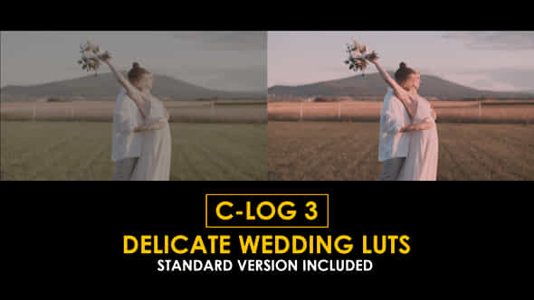 Clog3 Delicate Wedding And Standard Color Luts - VideoHive 51226833