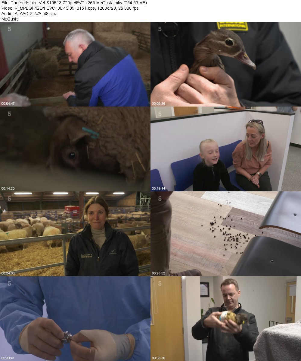 The Yorkshire Vet S19E13 720p HEVC x265-MeGusta