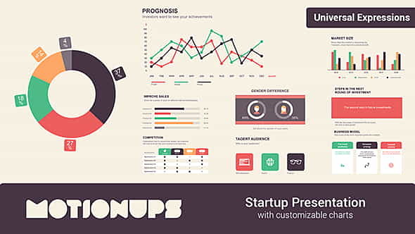 Startup Infographics Presentation - VideoHive 19903680