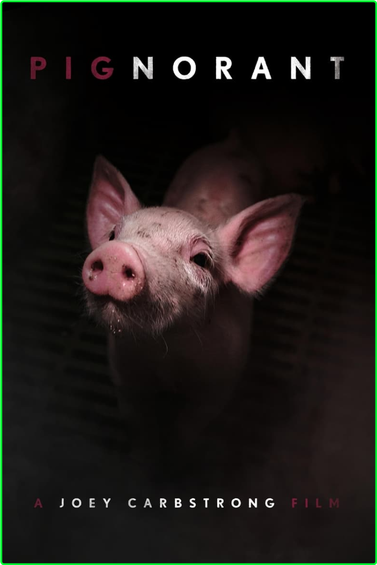 Pignorant 2024 [1080p] (x264) P9BwjASz_o