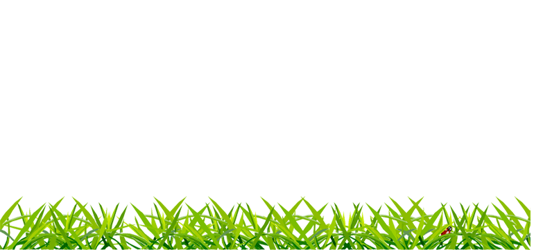 line of grass