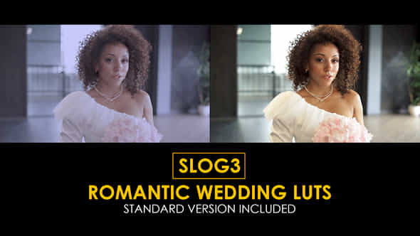 Slog3 Romantic Wedding And Standard Color Luts - VideoHive 48800332