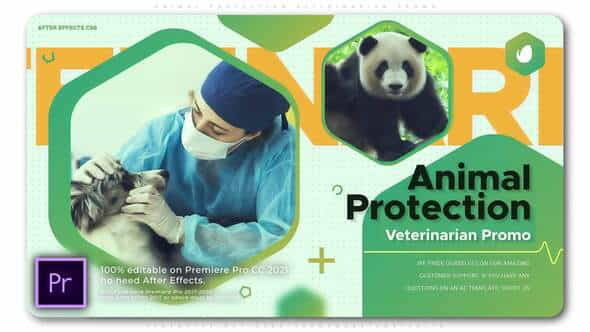 Animal Protection Veterinarian Promo - VideoHive 34511160