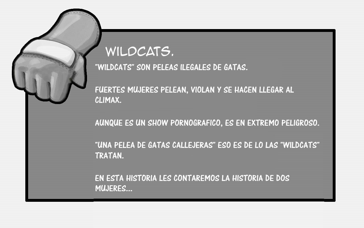 WildCats - 3