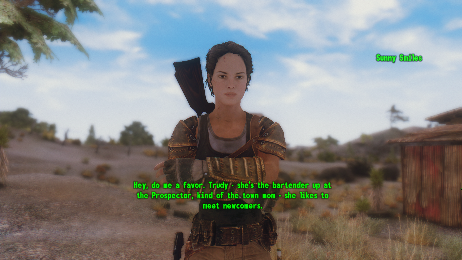 Fallout New Vegas NPC Overhaul by Dragbody 