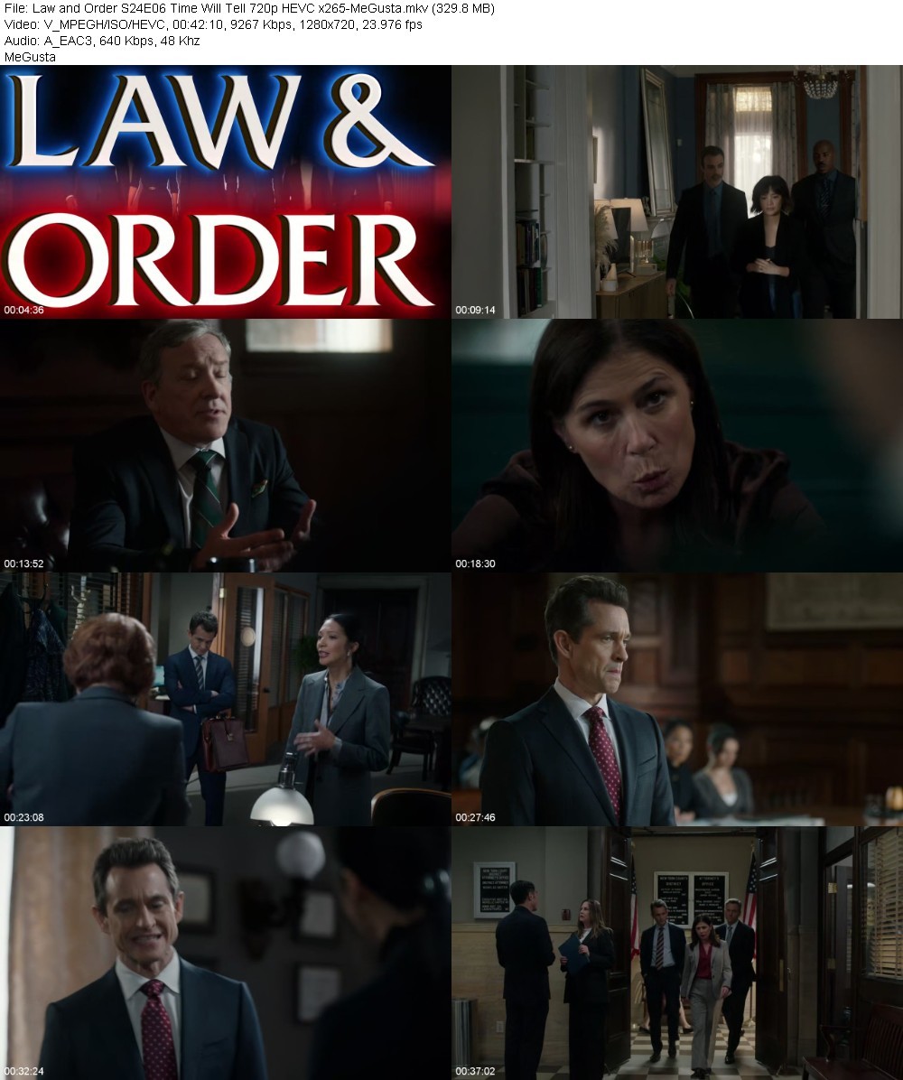 Law and Order S24E06 Time Will Tell 720p HEVC x265-MeGusta