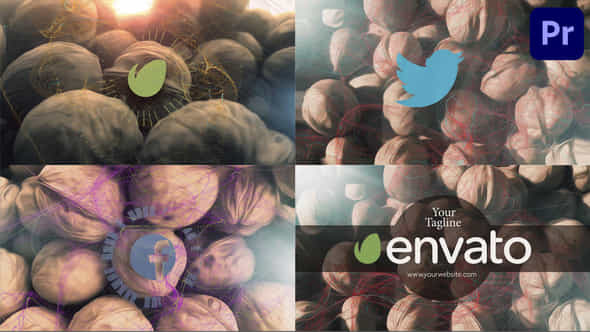 Stop Motion Nuts - VideoHive 44220511