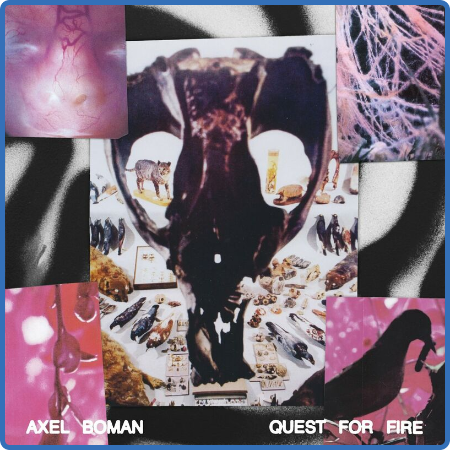 Axel Boman - Quest for fire (2022)