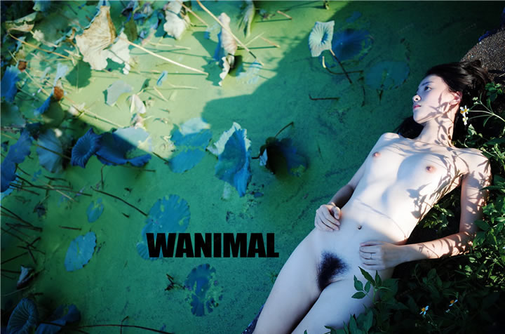 Wang Dong Wanimal officially produced in August 16th VIP without Holy Light Body Art Collection 19