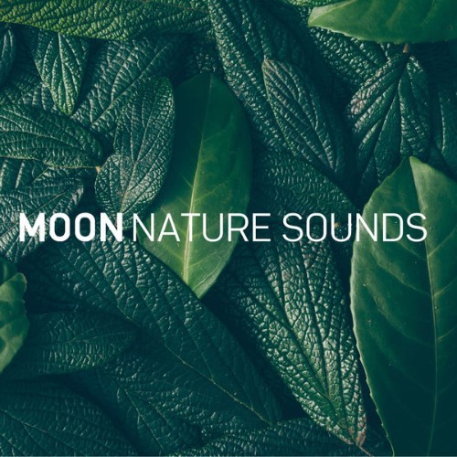 Moon Tunes - Deep Sleep (8D Audio) - 2019