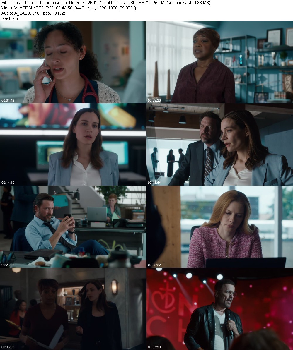 Law and Order Toronto Criminal Intent S02E02 Digital Lipstick 1080p HEVC x265-MeGusta