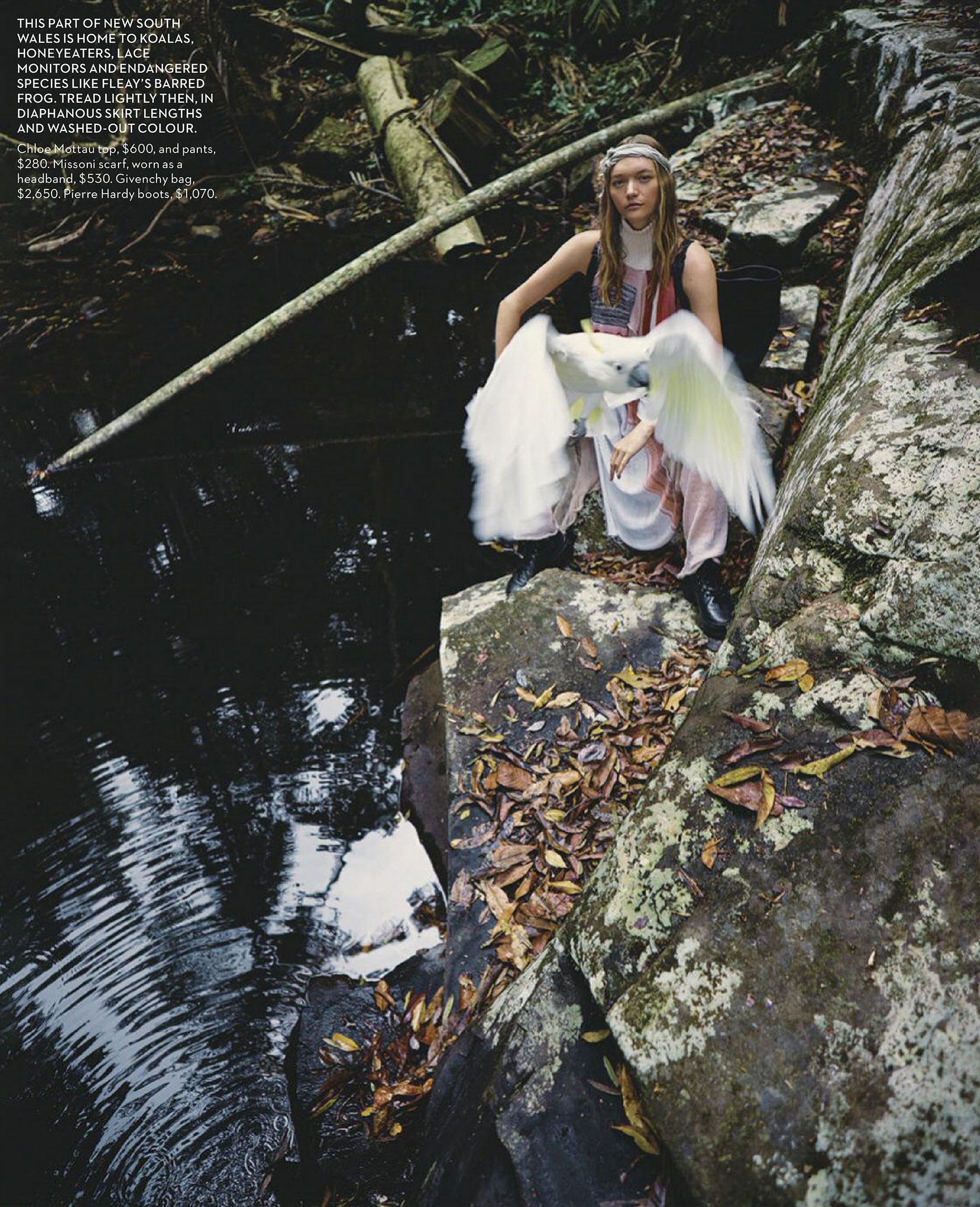 Gemma Ward and family by Charles Dennington Джемма Уорд с семьей путешествует по лесам Нового Южного Уэльса / фото 09