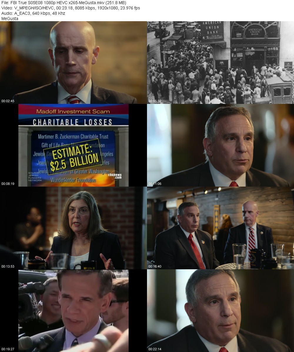 FBI True S05E08 1080p HEVC x265-MeGusta