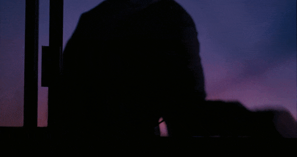 Its only the end of the world GIF