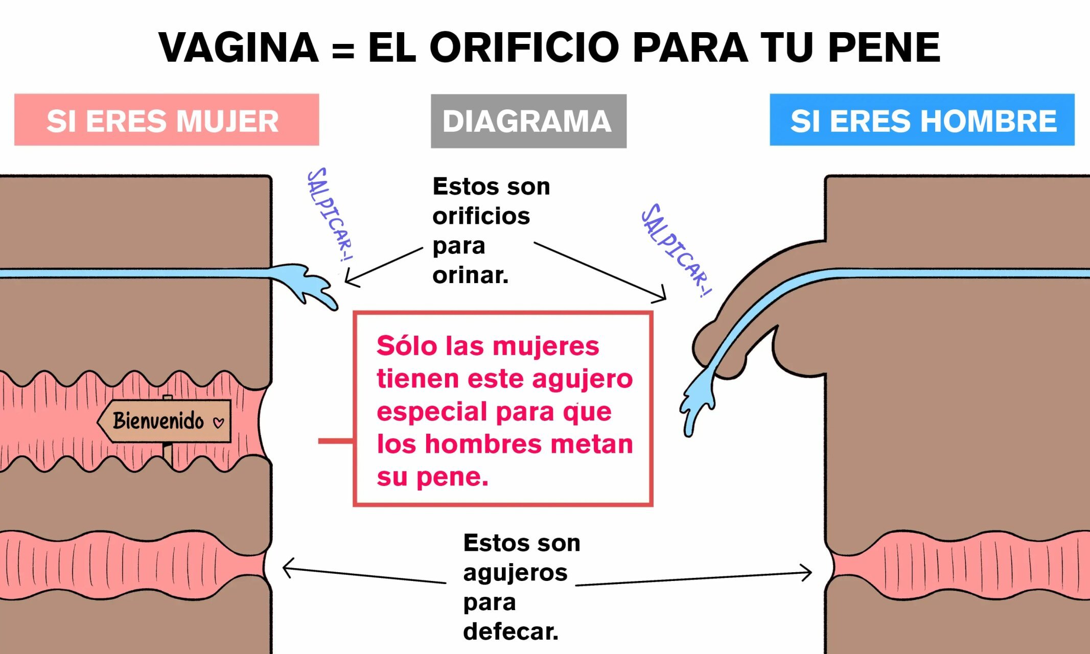 OUR BODIES - Como se hacen los niños? - 16