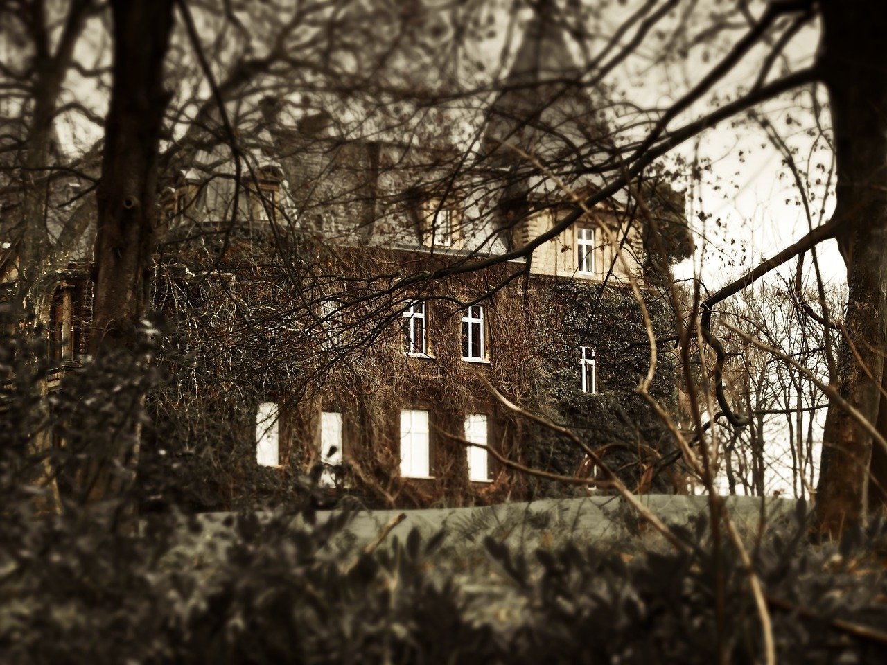 Old abandoned manor houses overgrown with ivy framed by bare trees