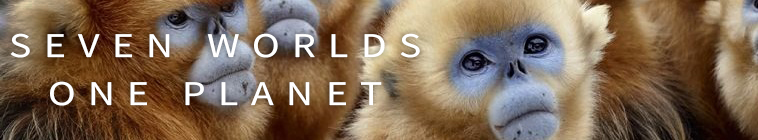 Seven Worlds One Planet S01E03
