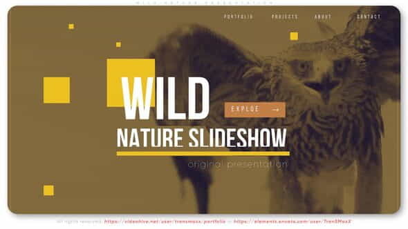 Wild Nature Presentation - VideoHive 27125012