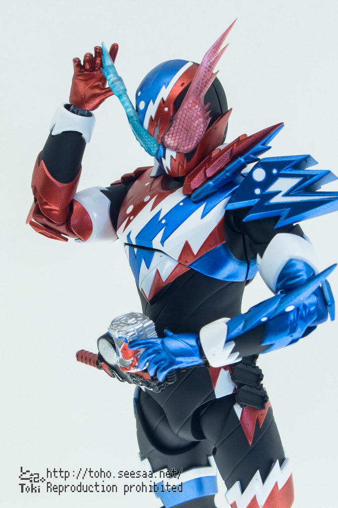 Kamen Rider - S.H. Figuarts (Bandai) - Page 28 PjRj4j4g_o